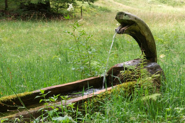 0060Cascade Wildenstein.jpg - SONY DSC